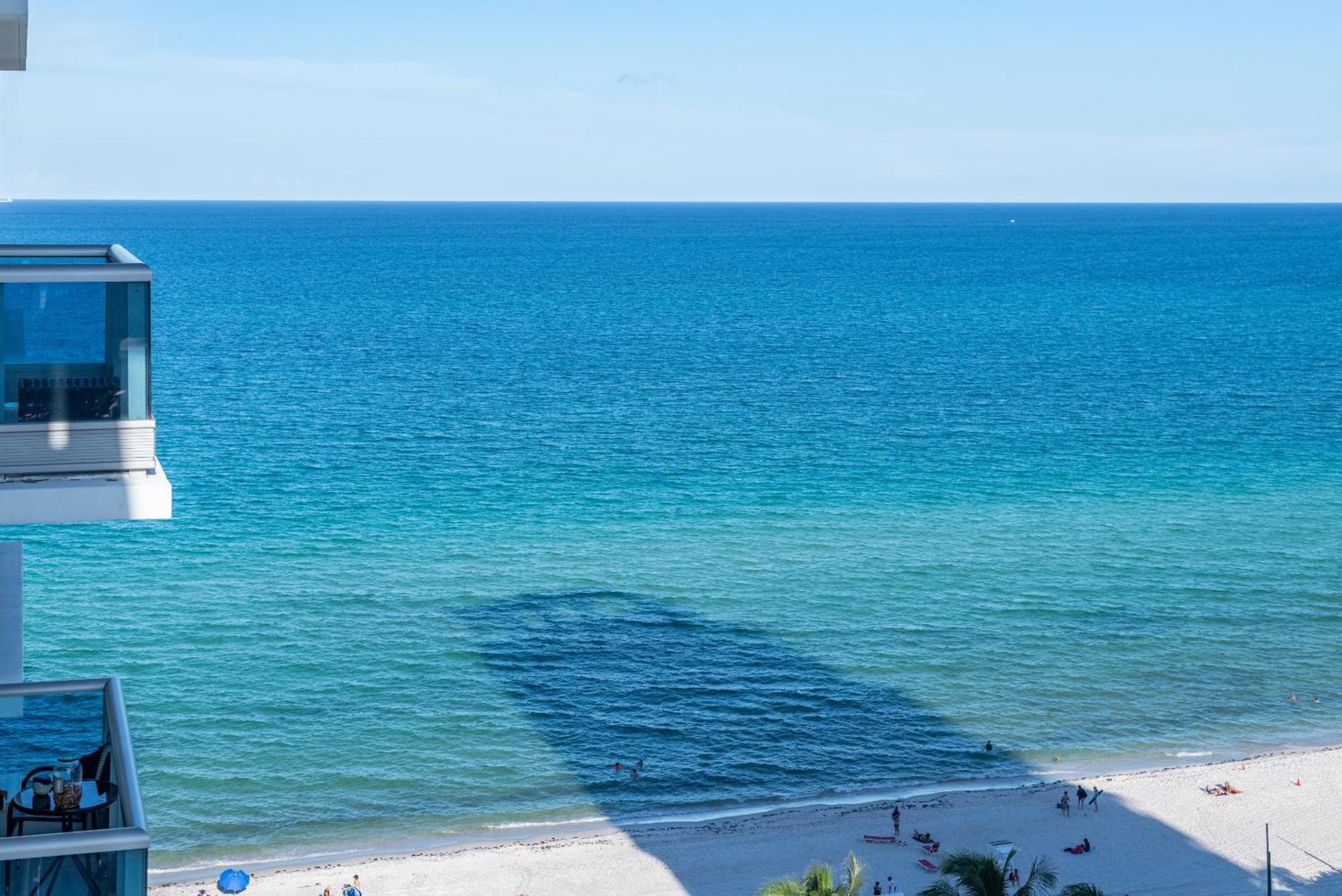 Bluebird Suites Monte Carlo Miami Beach Chambre photo